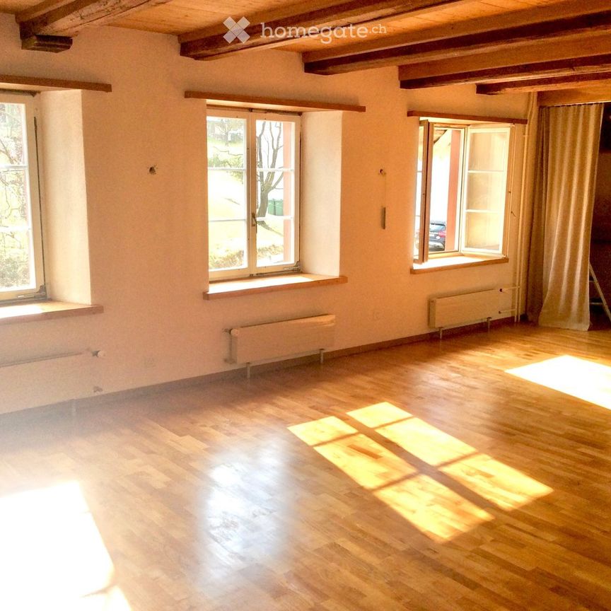 Grosse, sonnige Altbauwohnung mit Kachelofen - Photo 1