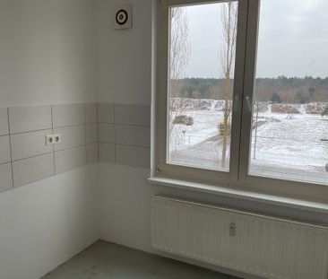 Pierre-de-Gayette-Straße 16, 14480 Potsdam OT Kirchsteigfeld - Photo 2