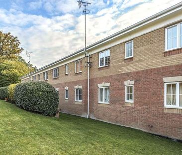 Hopper Vale, Bracknell, Berkshire, RG12 - Photo 6