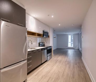 9675 Av. Papineau, app.113, H2B 3C8, H2B 3C8, Montréal - Photo 6