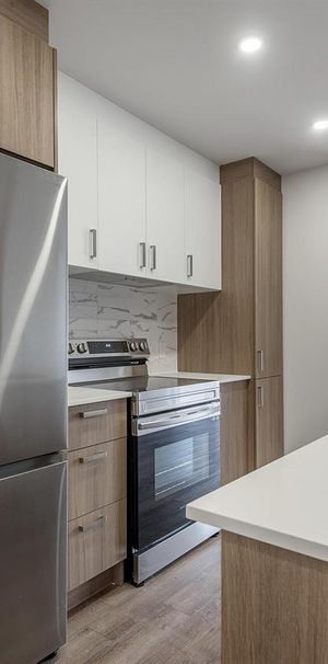 2 Bedroom - 2020 Lucien-Thiemens, Montréal - Photo 1