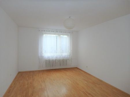 2-Zimmer Wohnung mit Loggia im Erdgeschoss - Foto 4