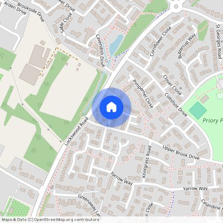 pennycress, so31, So31