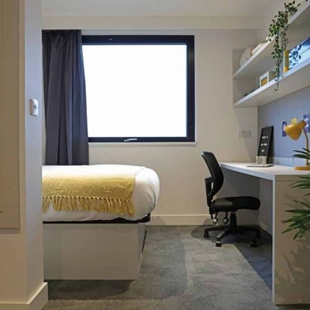 True Premium Studio with City Views - Photo 4