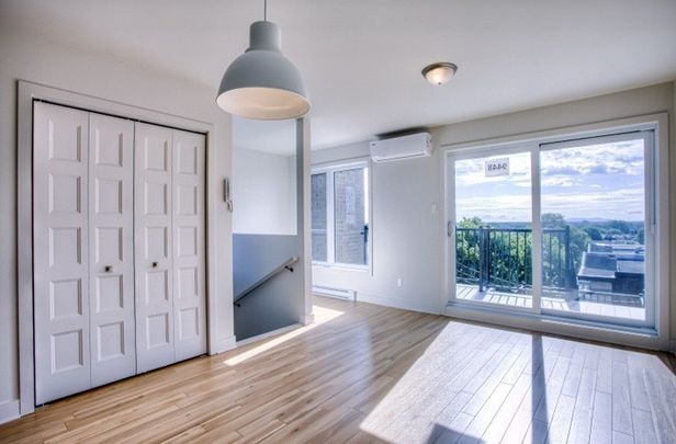 Rue Sherbrooke E., H1L 1E6, Montréal - Photo 1