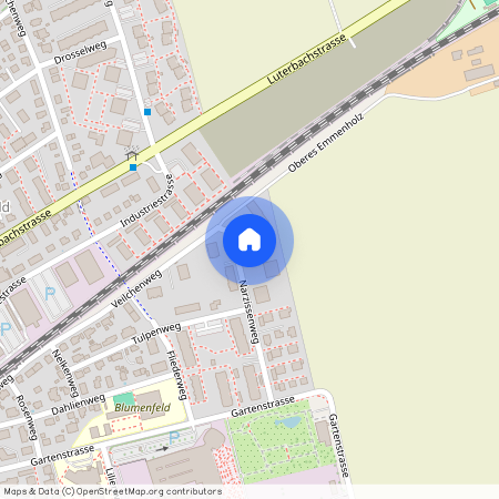 4528, Zuchwil, Narzissenweg, 10