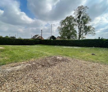 The Street - Photo 1