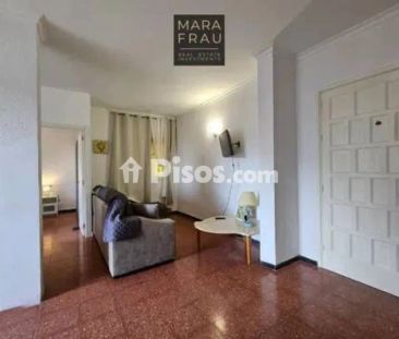 Casa adosada en alquiler en Calle Pardela - Photo 1