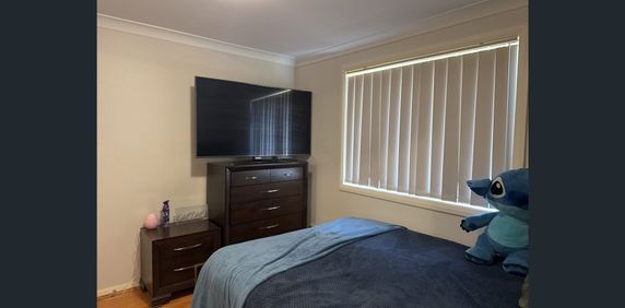 Low maintanance 2 Bedroom granny flat - Photo 2