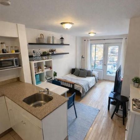 Studio - Montréal - $1,055 /mo - Photo 3