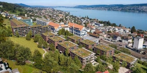 Modern living in Horgen Oberdorf with a view of Lake Zurich - Photo 3