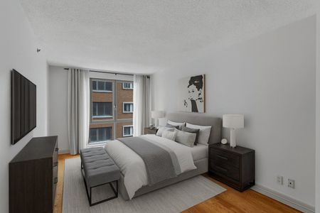Apartment for rent, Montréal (Ville-Marie) - Photo 5