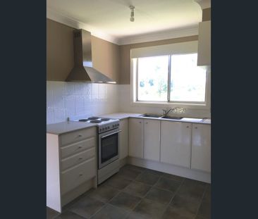 Renovated Two Bedroom - Photo 2