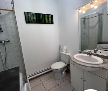 Location Appartement 1 pièce 14m² - Photo 6