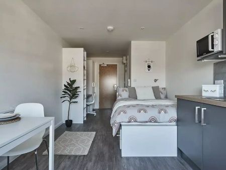 Standard Studio - Photo 4