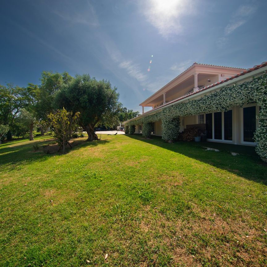 Detached villa with heated pool in Leiria - Photo 1