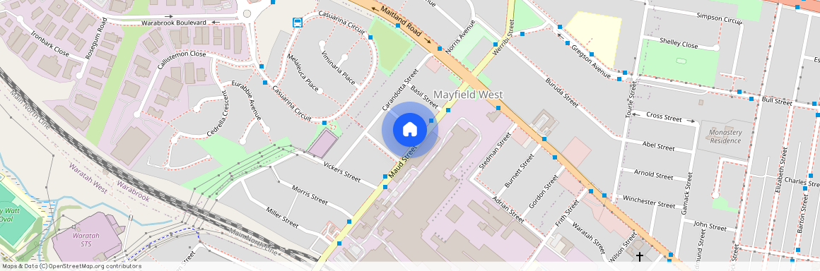 25 Maud Street, Mayfield West NSW 2304