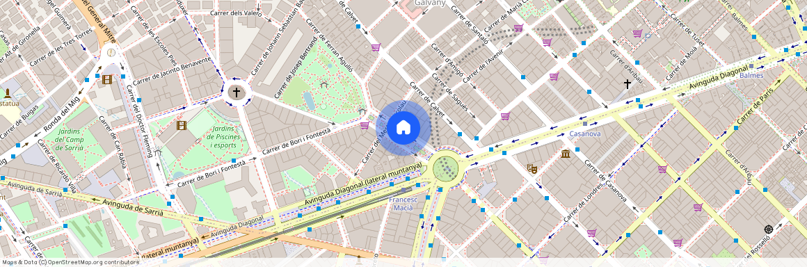 Avinguda de Pau Casals, Barcelona, Catalonia 08021