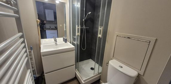 Location Appartement 1 pièce 17m² LILLE 59000 - Photo 2