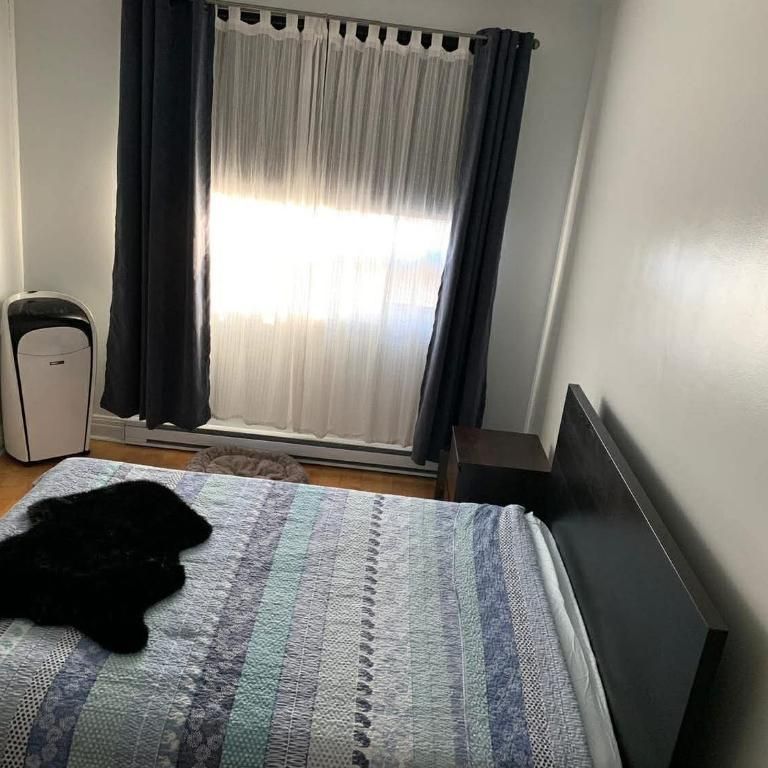 Logement 4 1/2 - Photo 1