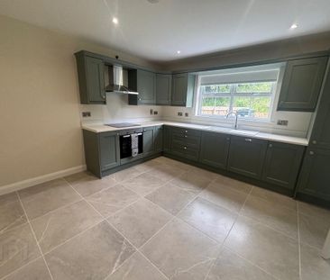 19 Shanmoy Downs, Eglish, Dungannon, BT70 1WF - Photo 6