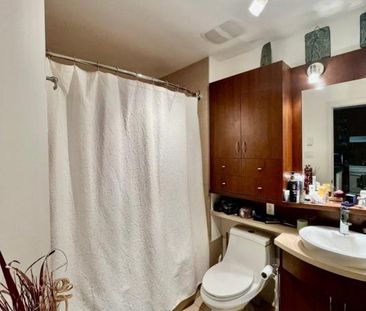 8540 Rue Raymond-Pelletier, app.309, H2M 0A1, H2M 0A1, Montréal - Photo 5
