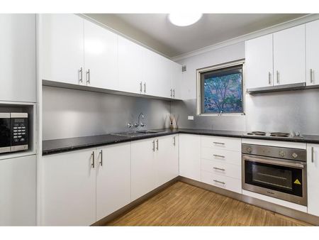 11/377 New Canterbury Road, Dulwich Hill NSW 2203 - House For Rent | Domain - Photo 4