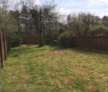 3 bedroom house to rent - Photo 2