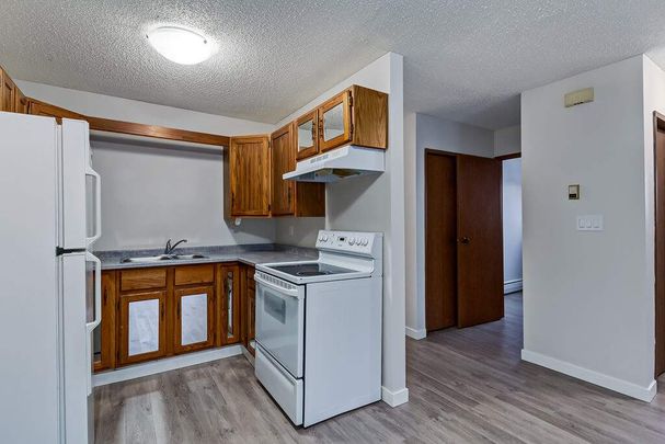 Renovated Suite - 2 Bedroom - Photo 1