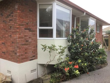 Refurbished Three Bedroom Home in a Great Location - Otumoetai - Photo 4