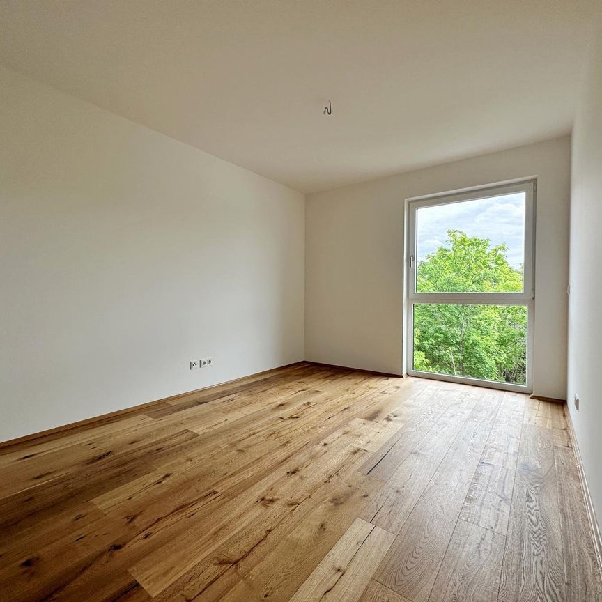 Leipzig: Wohnen am Park ** Neubau ** 3-Raum WE ** Balkon ** Einbauküche ** - Foto 1