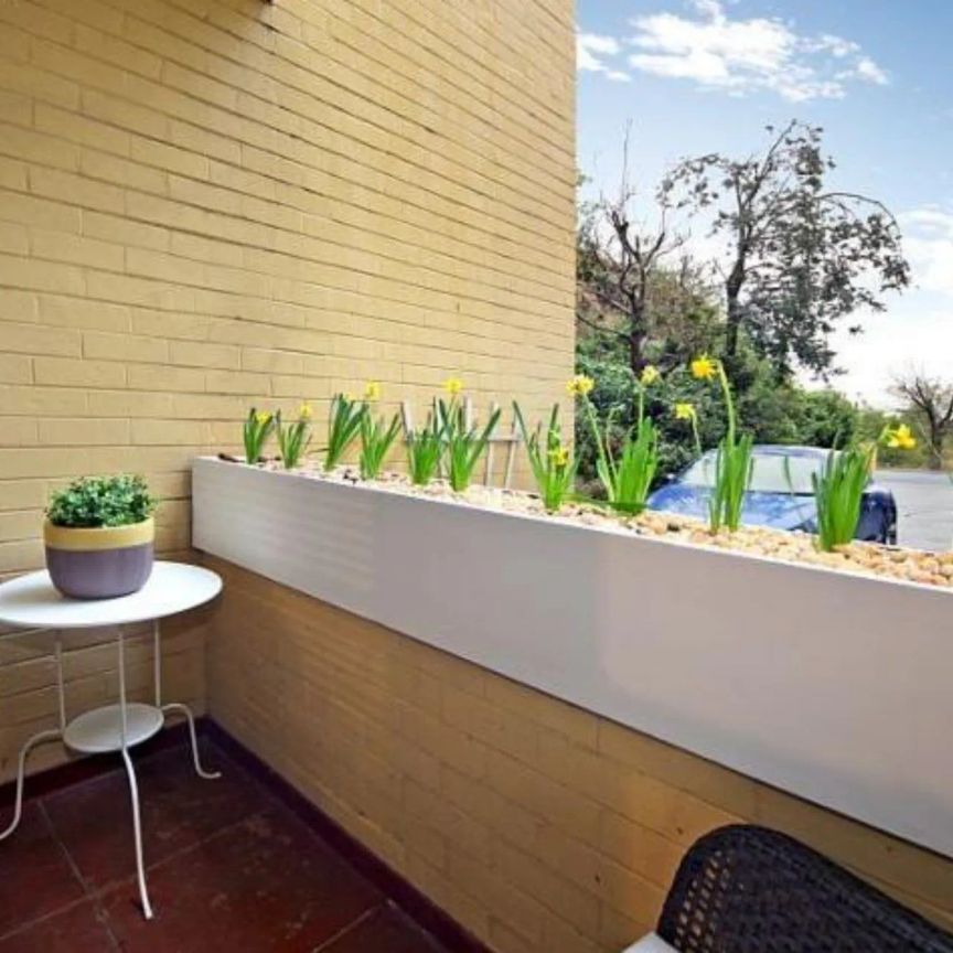 Unit 4/83 Alexandra Avenue, South Yarra. - Photo 1