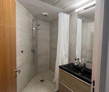 Location Appartement 1 pièce 44m² AIX EN PROVENCE 13100 - Photo 5