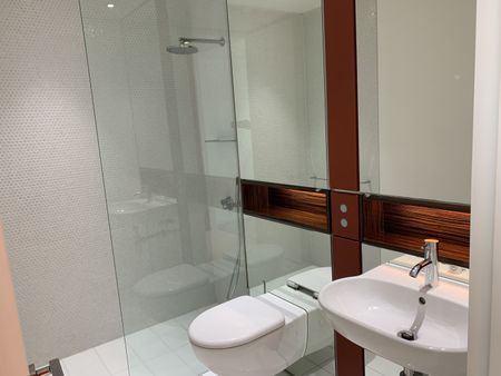 2 Chippendale Way, Chippendale NSW 2008 - Apartment For Rent | Domain - Photo 5