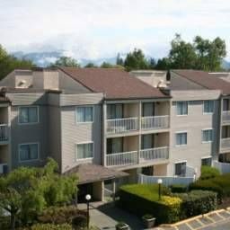 1 Bedroom @ Mountain Ridge Apartments - Photo 2