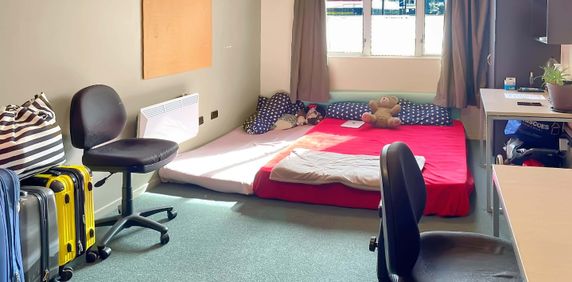 Studio Apartment in the Heart of Wellington! - Photo 2