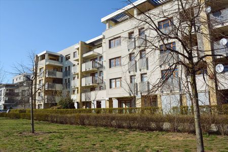 Apartament na wynajem, al. Wilanowska, Warszawa Wilanów - Zdjęcie 5