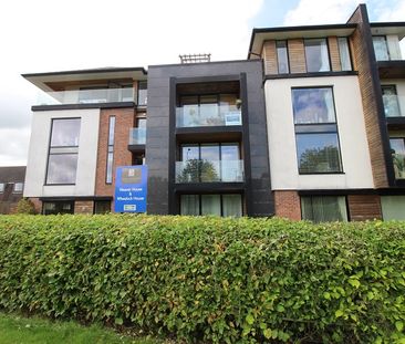 Property for rent - Photo 6