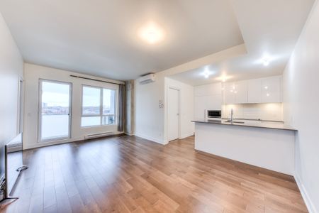 Appartement à louer, Montréal (Ville-Marie) - Photo 3