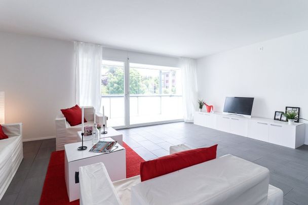 Here your search ends! - Foto 1