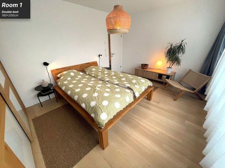 41/2 ROOM APARTMENT IN BASEL - BACHLETTEN/GOTTHELF, FURNISHED, TEMPORARY - Photo 5