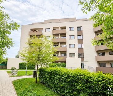 Pronájem bytu 1+kk 42 m² - Photo 3