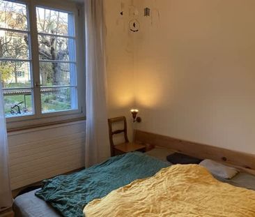 3.5 Zimmer, EG - Photo 3