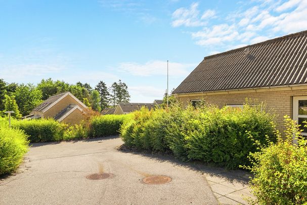 Linåbakken - Foto 1