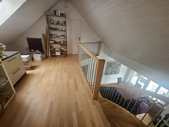 3-ROOM APARTMENT IN EGG B. ZURICH (ZH), FURNISHED, TEMPORARY - Foto 1