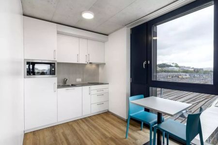 Studio dans résidence pour étudiants, proche de la Gare de Renens - Foto 2