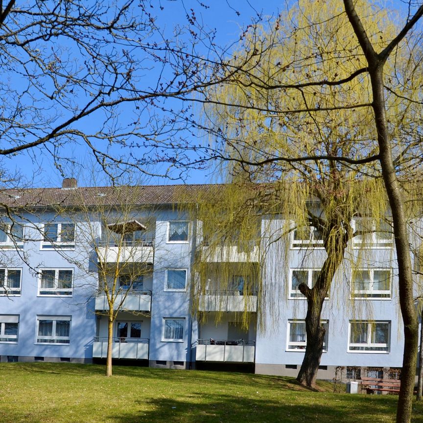 Helle 3-Zimmer-Wohnung in Korbach - Foto 1