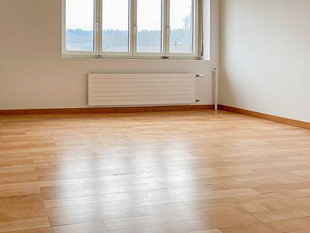 Helle Wohnung in Frauenfeld - Photo 3