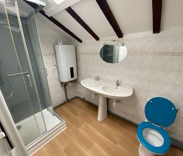 Location Appartement 1 pièce 28m² EPINAL 88000 - Photo 3
