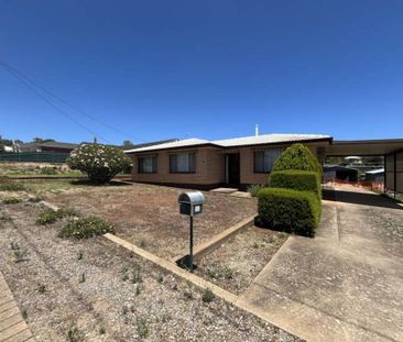 Charming 2-Bedroom Home on a Easy Care Block in McLaren Vale - Photo 4